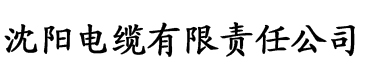 黄瓜短视频app电缆厂logo